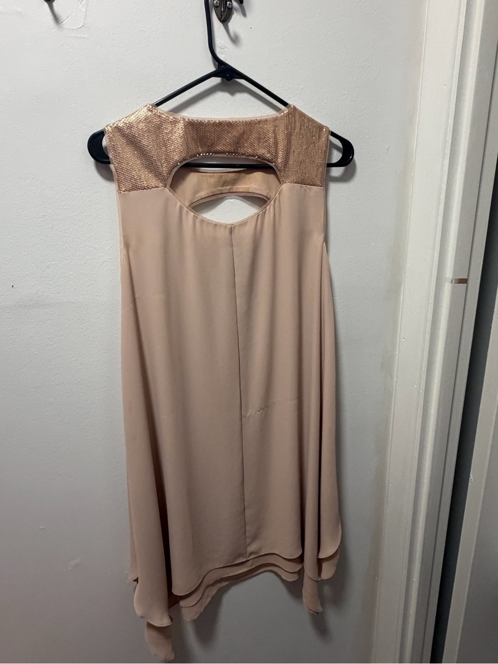 BCBG Sleeveless Cream Chiffon Overlay Dress with Metallic Yoke